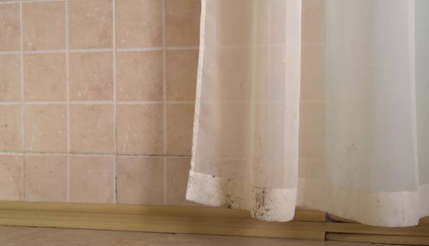 Best Biohazard Mold Removal  in Commerce, CA