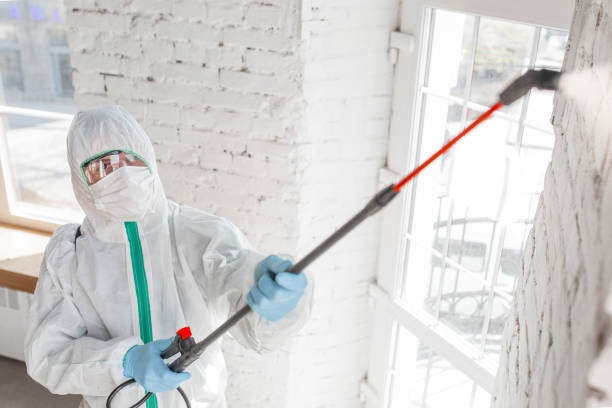 Best Mold Remediation for Healthcare Facilities  in Commerce, CA