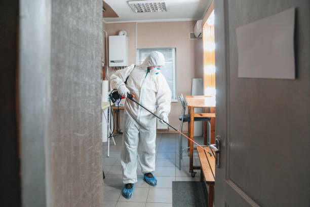 Best Basement Mold Removal  in Commerce, CA