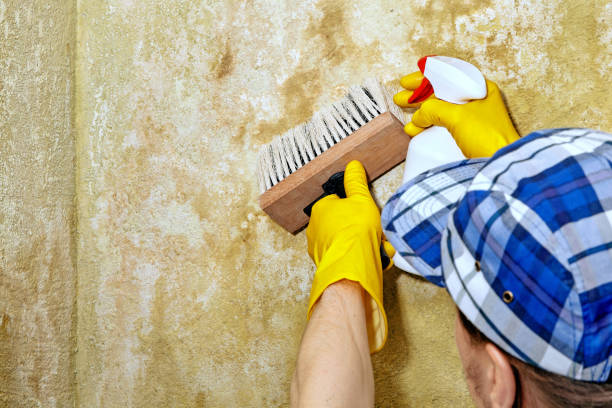 Best Residential Mold Inspection & Testing  in Commerce, CA