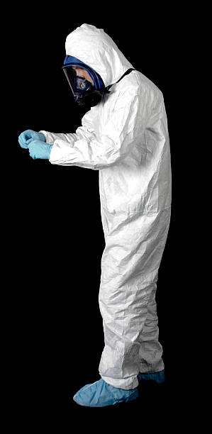 Commerce, CA Mold Removal Company