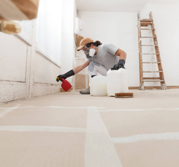 Commerce, CA Mold Removal Pros